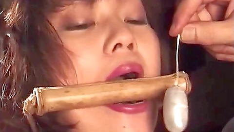 H.k Japan Shibari - 5
