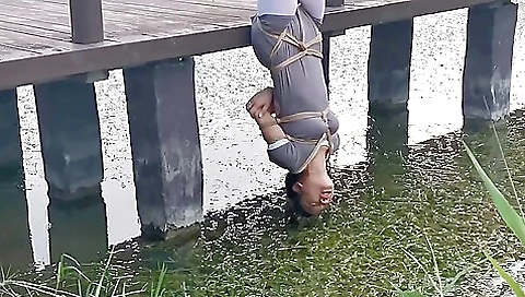 Bridge Predicament 2