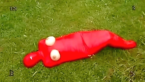 Insex Mummification Insex Mummification