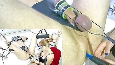 Cock Machine Milking