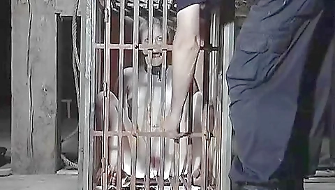 Caged Cumslut Featuring Melody ( )