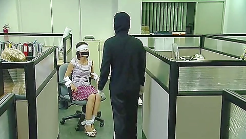 Office Lady Bound